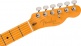 Telecaster American Ultra II Mn Avalanche