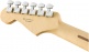 Stratocaster Player I Mn Polar White