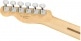 MEXICAN PLAYER TELECASTER MN, BUTTERSCOTCH BLONDE