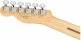 Telecaster Player I Mn Butterscotch Blonde