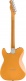 Telecaster Player Plus MN Butterscotch Blonde