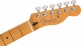 Telecaster Player Plus MN Butterscotch Blonde