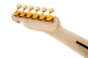 Telecaster Signature Richie Kotzen Mn Brown Sunburst