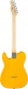 Standard Telecaster MN Black Pickguard Butterscotch Blonde