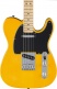 Standard Telecaster MN Black Pickguard Butterscotch Blonde