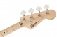 Bronco Bass Sonic Mn Tahitian Coral