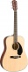 CD-60s Dreadnought Classic Design WN Natural