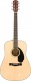 CD-60s Dreadnought Classic Design WN Natural