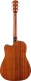 Dreadnought CD-60SCE SC WN Natural
