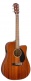 Dreadnought CD-60SCE SC WN Natural