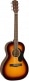 CP-60S PARLOR WLNT, SUNBURST