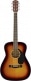 CC-60S CONCERT WLNT, 3-COLOR SUNBURST