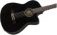 CN-140SCE NYLON THINLINE WLNT, BLACK W-CASE