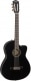 CN-140SCE NYLON THINLINE WLNT, BLACK W-CASE