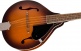 Pm-180E Mandolin Wn Aged Cognac Burst