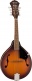 Pm-180E Mandolin Wn Aged Cognac Burst