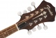 Pm-180E Mandolin Wn Aged Cognac Burst