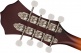 Pm-180E Mandolin Wn Aged Cognac Burst