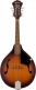 Pm-180E Mandolin Wn Aged Cognac Burst