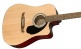 Fa-125Ce Dreadnought Wn Natural