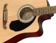 FA-125ce Dreadnought WN Natural