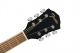 Fa-135 Concert Wn Black