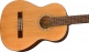 FA-15N 3/4 NYLON W/ GIG BAG