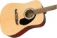 FA-125 DREADNOUGHT W-BAG WLNT, NATURAL