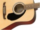 Fa-125 Dreadnought Wn Natural