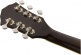 Concert Fender Alternative WN Moonlight Burst