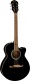 Fa-135Ce Concert Wn Black