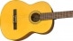 ESC-110 EDUCATIONAL SERIES, WIDE NECK WN