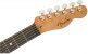 Telecaster American Acoustasonic Ebo Sunburst