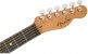 AMERICAN ACOUSTASONIC TELECASTER EBO, SUNBURST