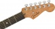 Stratocaster American Acoustasonic Ebo Natural