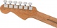 Stratocaster American Acoustasonic Ebo Natural