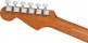 Jazzmaster American Acoustasonic Ebo Tungsten