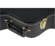 G6241FT 16? Hollow-Body Flat Top Case, Black