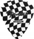 351 CELLULOID PICKS, CHECKERBOARD, (8)