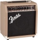 Acoustasonic 15