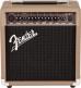 Acoustasonic 15