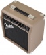 Acoustasonic 15
