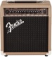 Acoustasonic 15