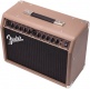 ACOUSTASONIC 40, 