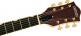 Synchromatic Nashville Hollow Body Single-Cut with Bigsby EBO 50's Orange Stain
