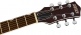 G5230T Electromatic Jet FT Single-Cut with Bigsby LRL Orange Stain