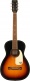 Parlor Signature Jim Dandy WN Rex Burst