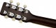 Jim Dandy Concert WN BPG Deep Cherry Burst