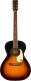 concert signature jim dandy wn rex burst
