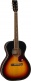 Jim Dandy Concert Ltd Solid Top Wn Heritage Burst